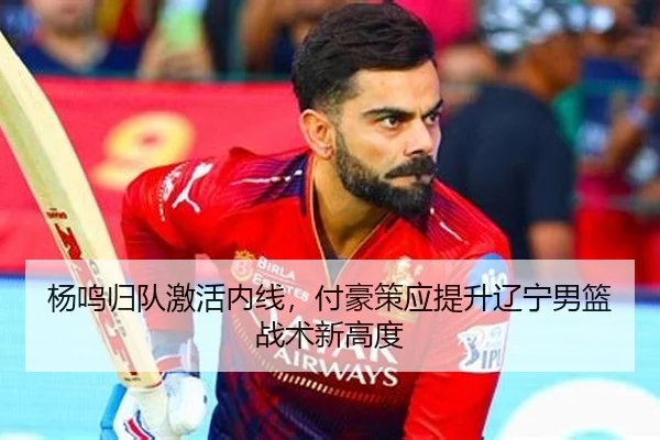 杨鸣归队激活内线，付豪策应提升辽宁男篮战术新高度